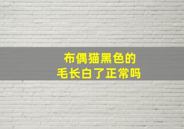 布偶猫黑色的毛长白了正常吗