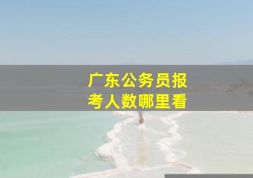 广东公务员报考人数哪里看