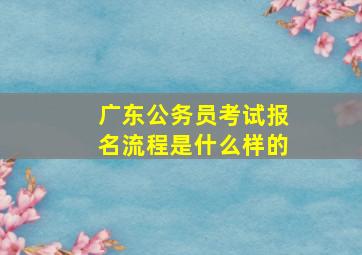 广东公务员考试报名流程是什么样的