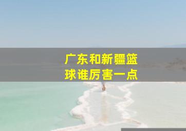 广东和新疆篮球谁厉害一点