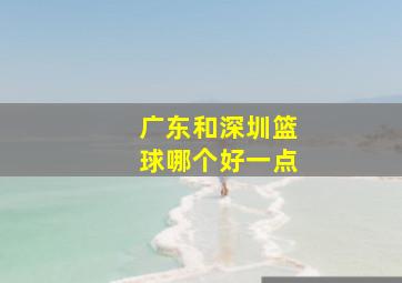 广东和深圳篮球哪个好一点