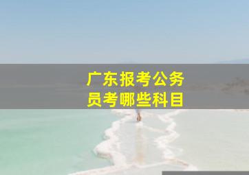 广东报考公务员考哪些科目