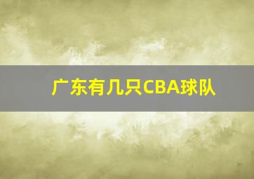 广东有几只CBA球队