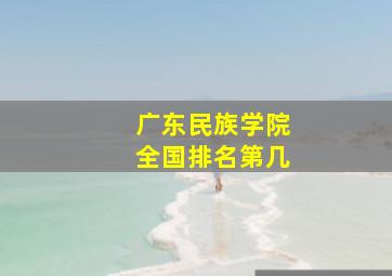 广东民族学院全国排名第几