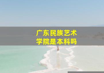 广东民族艺术学院是本科吗