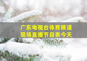 广东电视台体育频道现场直播节目表今天