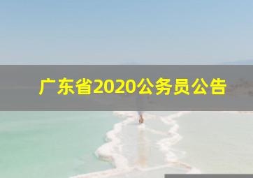 广东省2020公务员公告