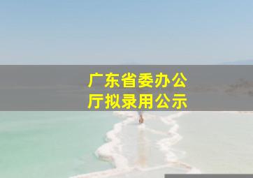 广东省委办公厅拟录用公示