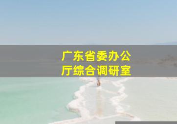 广东省委办公厅综合调研室