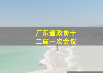 广东省政协十二届一次会议