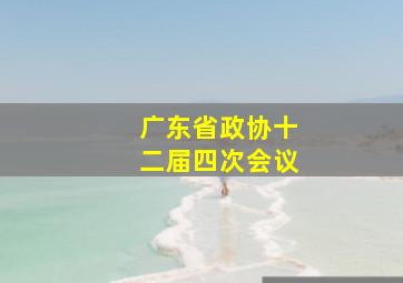 广东省政协十二届四次会议