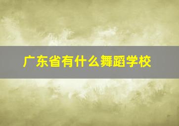 广东省有什么舞蹈学校