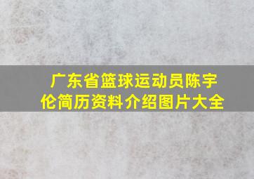 广东省篮球运动员陈宇伦简历资料介绍图片大全