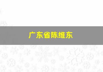 广东省陈维东