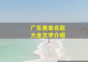 广东美食名称大全文字介绍