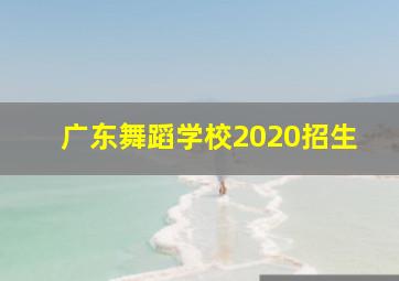 广东舞蹈学校2020招生