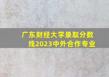 广东财经大学录取分数线2023中外合作专业