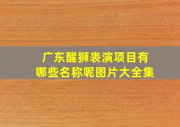 广东醒狮表演项目有哪些名称呢图片大全集