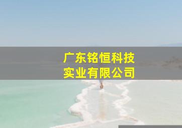 广东铭恒科技实业有限公司