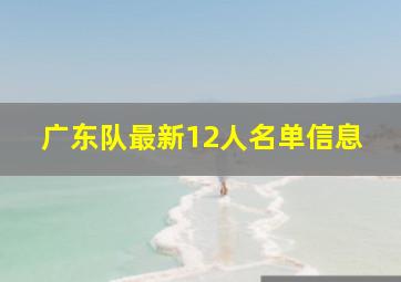 广东队最新12人名单信息