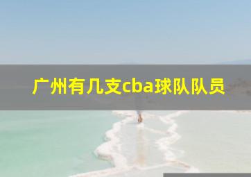 广州有几支cba球队队员