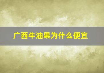 广西牛油果为什么便宜