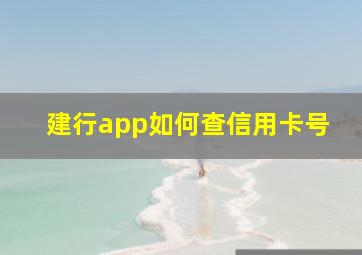 建行app如何查信用卡号