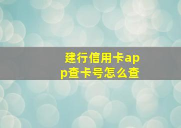 建行信用卡app查卡号怎么查