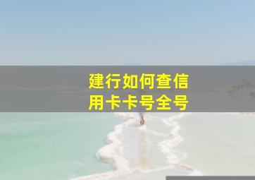 建行如何查信用卡卡号全号