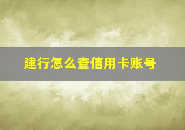 建行怎么查信用卡账号