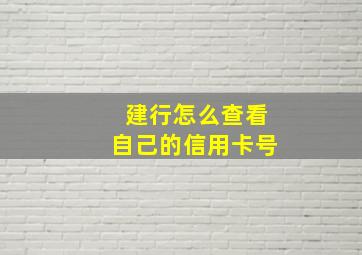 建行怎么查看自己的信用卡号