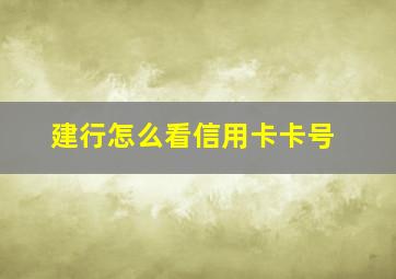 建行怎么看信用卡卡号