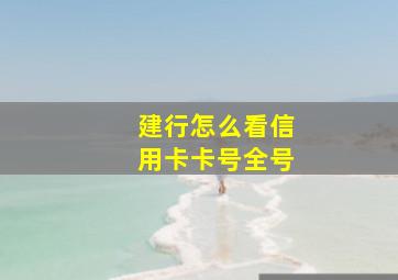 建行怎么看信用卡卡号全号