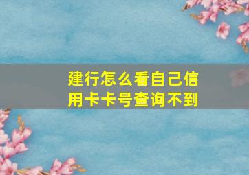 建行怎么看自己信用卡卡号查询不到