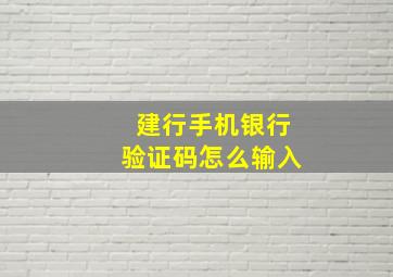 建行手机银行验证码怎么输入