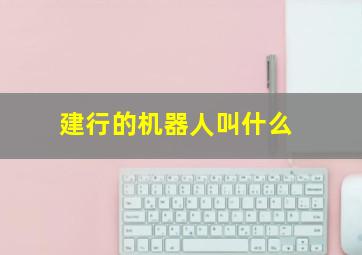 建行的机器人叫什么