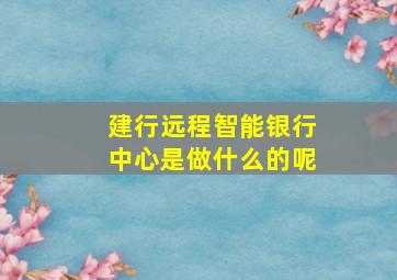 建行远程智能银行中心是做什么的呢