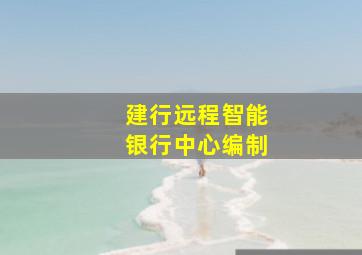 建行远程智能银行中心编制