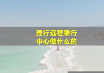 建行远程银行中心做什么的