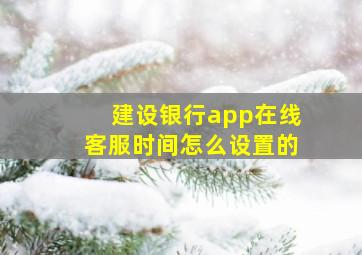 建设银行app在线客服时间怎么设置的