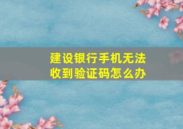 建设银行手机无法收到验证码怎么办