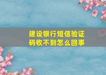 建设银行短信验证码收不到怎么回事