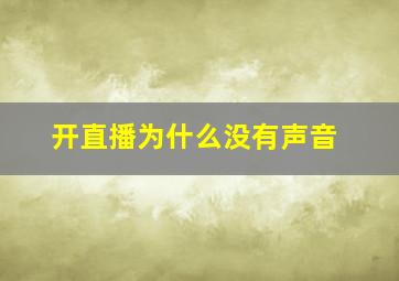 开直播为什么没有声音