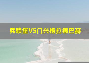 弗赖堡VS门兴格拉德巴赫