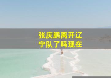 张庆鹏离开辽宁队了吗现在