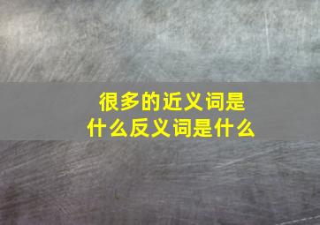 很多的近义词是什么反义词是什么