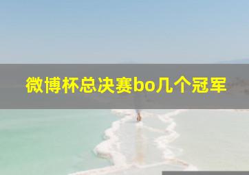 微博杯总决赛bo几个冠军