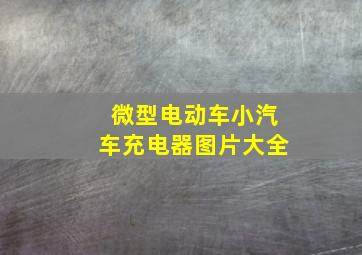 微型电动车小汽车充电器图片大全