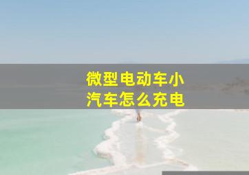 微型电动车小汽车怎么充电