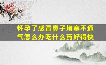 怀孕了感冒鼻子堵塞不通气怎么办吃什么药好得快